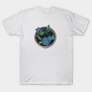 Cactus Plants T-Shirt